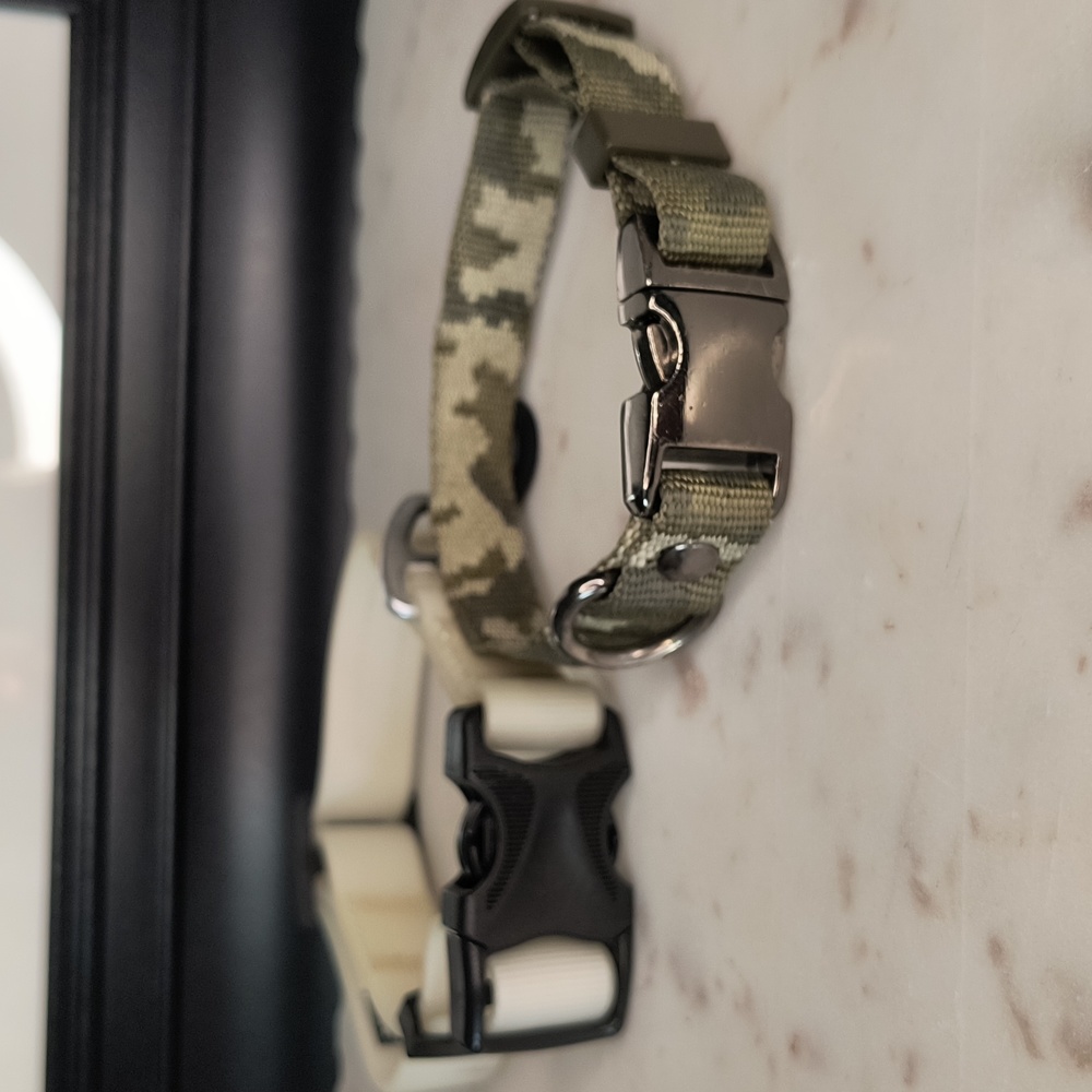 The Active Boi Dog Collar Set - Picture 2 of 2